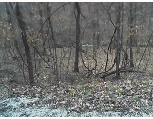 LOT#15 SUNRISE AVE, Holiday Island Arkansas 72631 - Price Reduced Land Real Estate