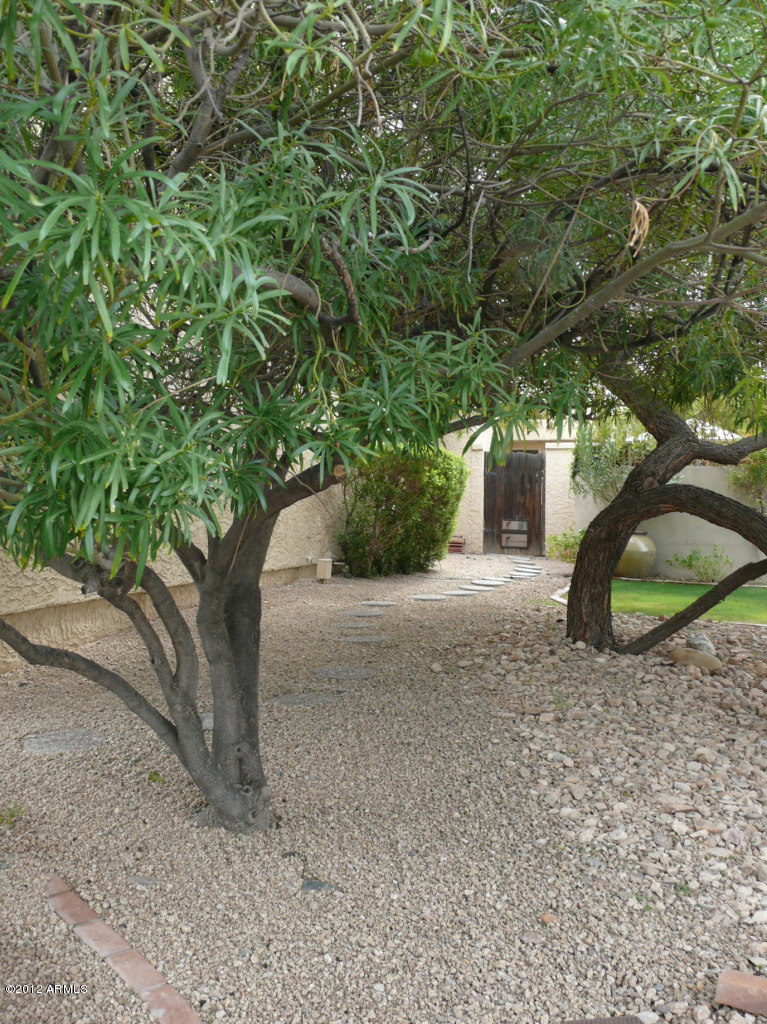 2413 E Montebello Avenue, Phoenix, AZ 85016